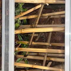Reptile tank