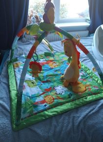 Fisherprice Baby jungle gym