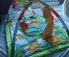 Fisherprice Baby jungle gym