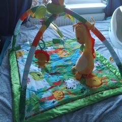 Fisherprice Baby jungle gym