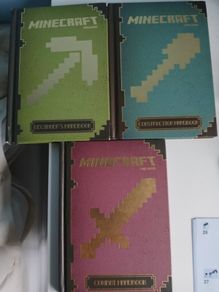 Minecraft books