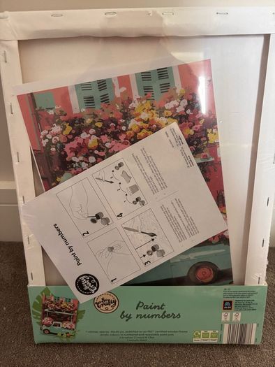 Paint by numbers kit