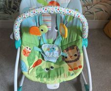 Baby Bouncer
