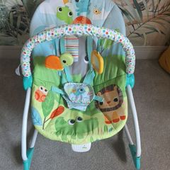 Baby Bouncer