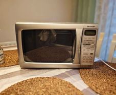 Sharp Microwave 800w