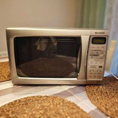Sharp Microwave 800w