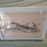 Antique fish prints Image 2