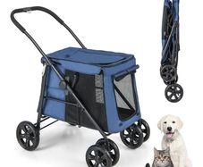 Dog buggy