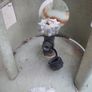 2 gas bottles Image 2