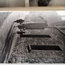 3 x Capuchin Annuals Image 7