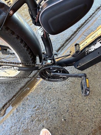 Electric cargo bike