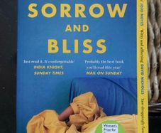 Sorrow and Bliss. Meg Mason