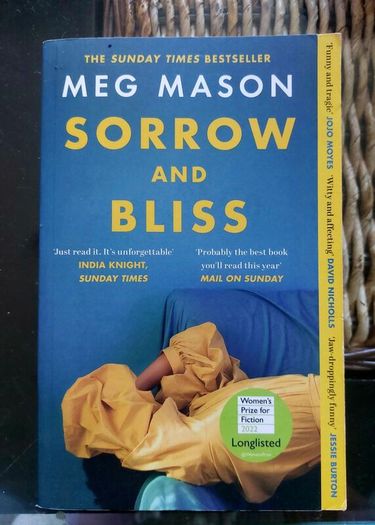 Sorrow and Bliss. Meg Mason