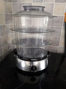 Electric food steamer