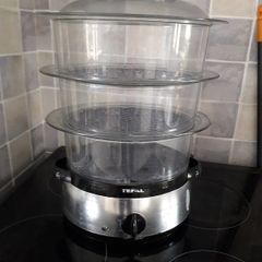 Electric food steamer