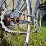 race bike Image 6