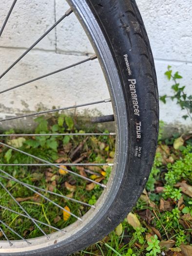 Raleigh Vixen