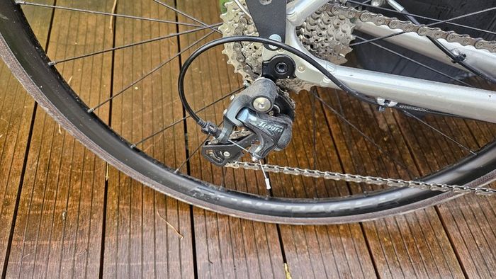 Tifosi Rostra bike
