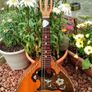 Mandolin for sale Image 2