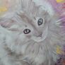 The Curious Kitten from Andor Koncsik Image 3
