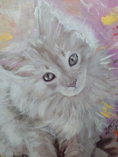 The Curious Kitten from Andor Koncsik