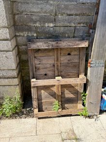 Free wooden pallet