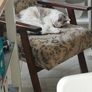 Free Chair Image 2