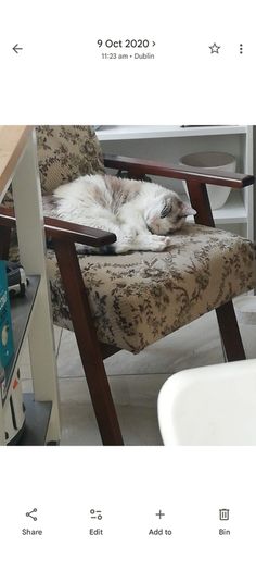 Free Chair