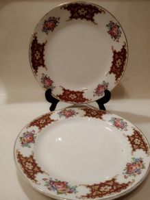 Arklow Pottery Two Dinner Plates