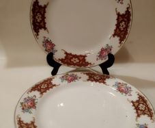 Arklow Pottery Two Dinner Plates