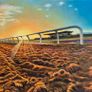 Curragh RaceCours Track at Sunset | oil painting | framed Image 7