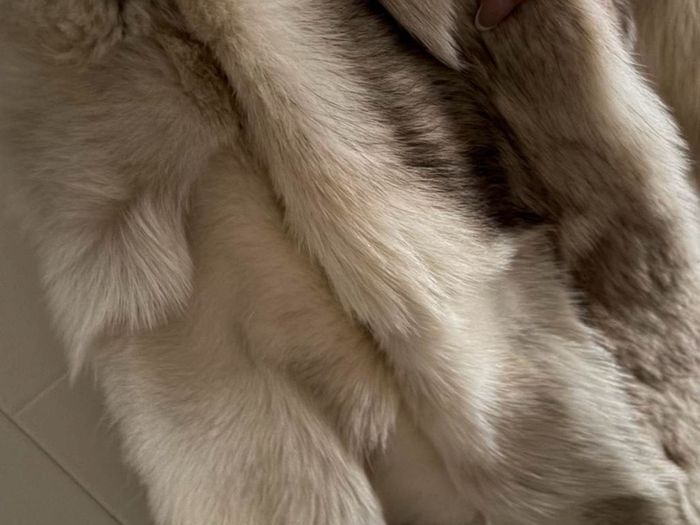 Tan and white vintage fur coat