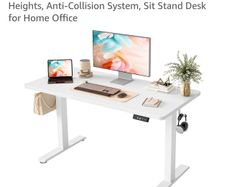 Sit Stand Desk for Home Office