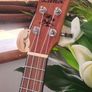 Brand new Laka Soprano Ukulele with padded case Image 2