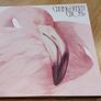 Batch 1 of Vinyl Records For Sale - all in Excellent condition Image 9