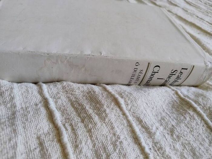Leabhar Sheain i Chonaill le Seamus O Duilearga 1977 hardback with dustcover in good condition with some signs of wear on the dustcover see photos FREE STANDARD POSTAGE INCLUDED