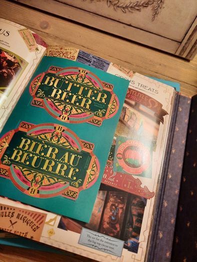 (New) The Archive of Magic / The Film Wizardry of Fantastic Beasts Hardback