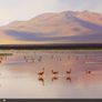 HP EliteBook 8760w 17" Mobile Workstation. Image 8