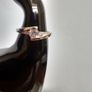 Ring Image 2