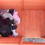 Dog Kennel Image 2