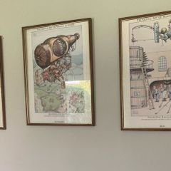 pub memorabilia