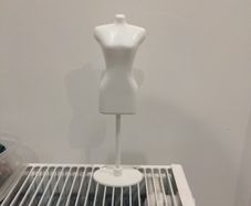 Miniature manican
