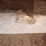 Triton T90 sr  shower unit Image 3
