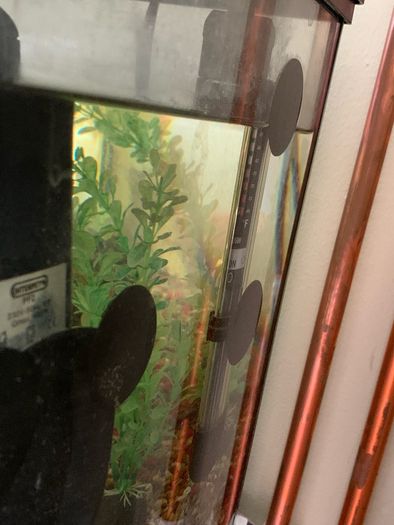 Fish Tank 54L 60x30x30cm