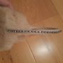 Girls ear muffs Image 4