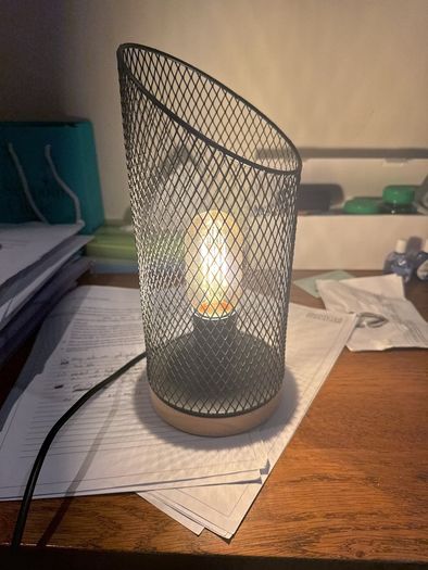 Dimmable Industrial Metal Mesh Lamp