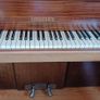 Piano Image 7