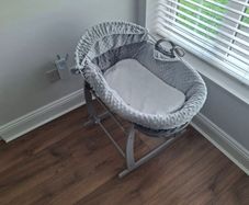 Moses basket