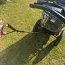 Running buggy Image 10