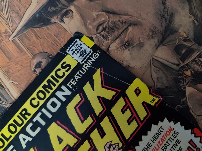 Jungle Action ! The Black Panther ! Issue #19 ! Black Panther Fights the Ku K.l.u.x. Klan ! Bronze Age Comic from 1976 ! by Marvel !